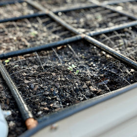 Garden Grid Watering System 1-minute setup scene highlights quick, no-tools installation.