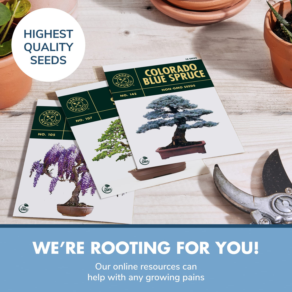 Garden Republic Bonsai Kit complete set: everything you need for growing an indoor bonsai.