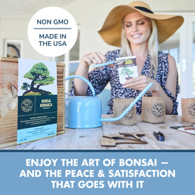 Garden Republic Bonsai Kit mini bonsai seeds ready for indoor growth.