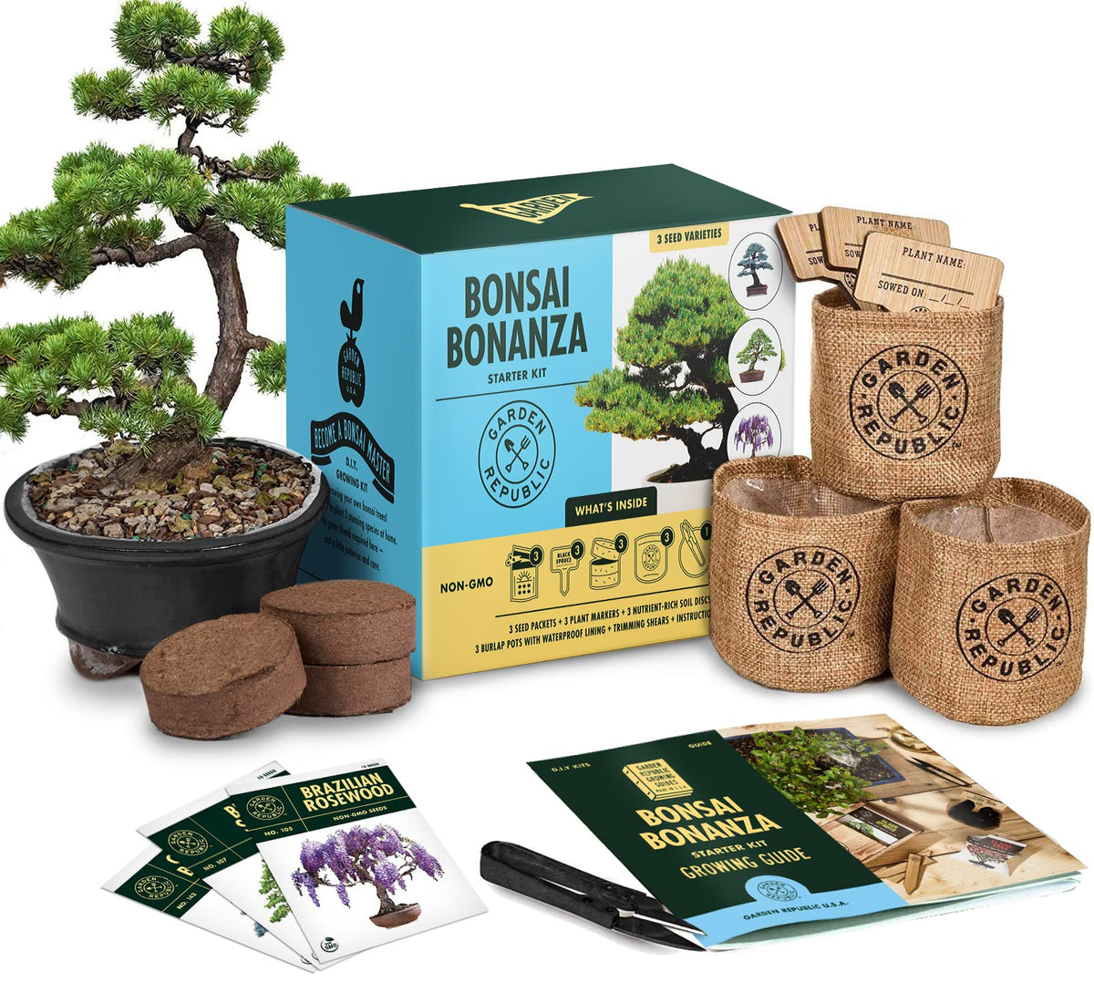 Garden Republic Bonsai Kit seeds: Brazilian Rosewood variety for beginner indoor bonsai.