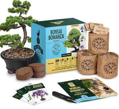Garden Republic Bonsai Kit seeds: Brazilian Rosewood variety for beginner indoor bonsai.