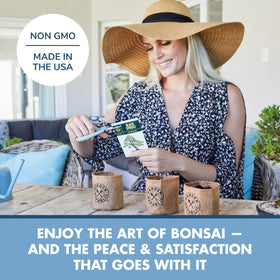 Garden Republic Bonsai Kit soil discs: nutrient-rich mix supporting healthy root growth.