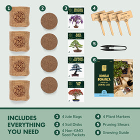 Garden Republic Bonsai Kit soil discs support healthy root development.