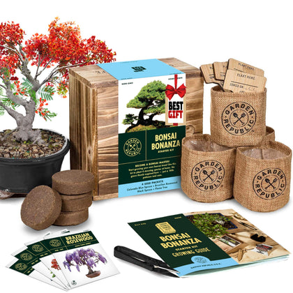 Garden Republic Bonsai Kit varieties showcase four mini trees for beginners.