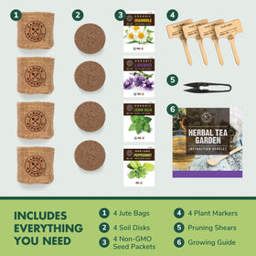 Garden Republic soil disks primed for quick herb germination