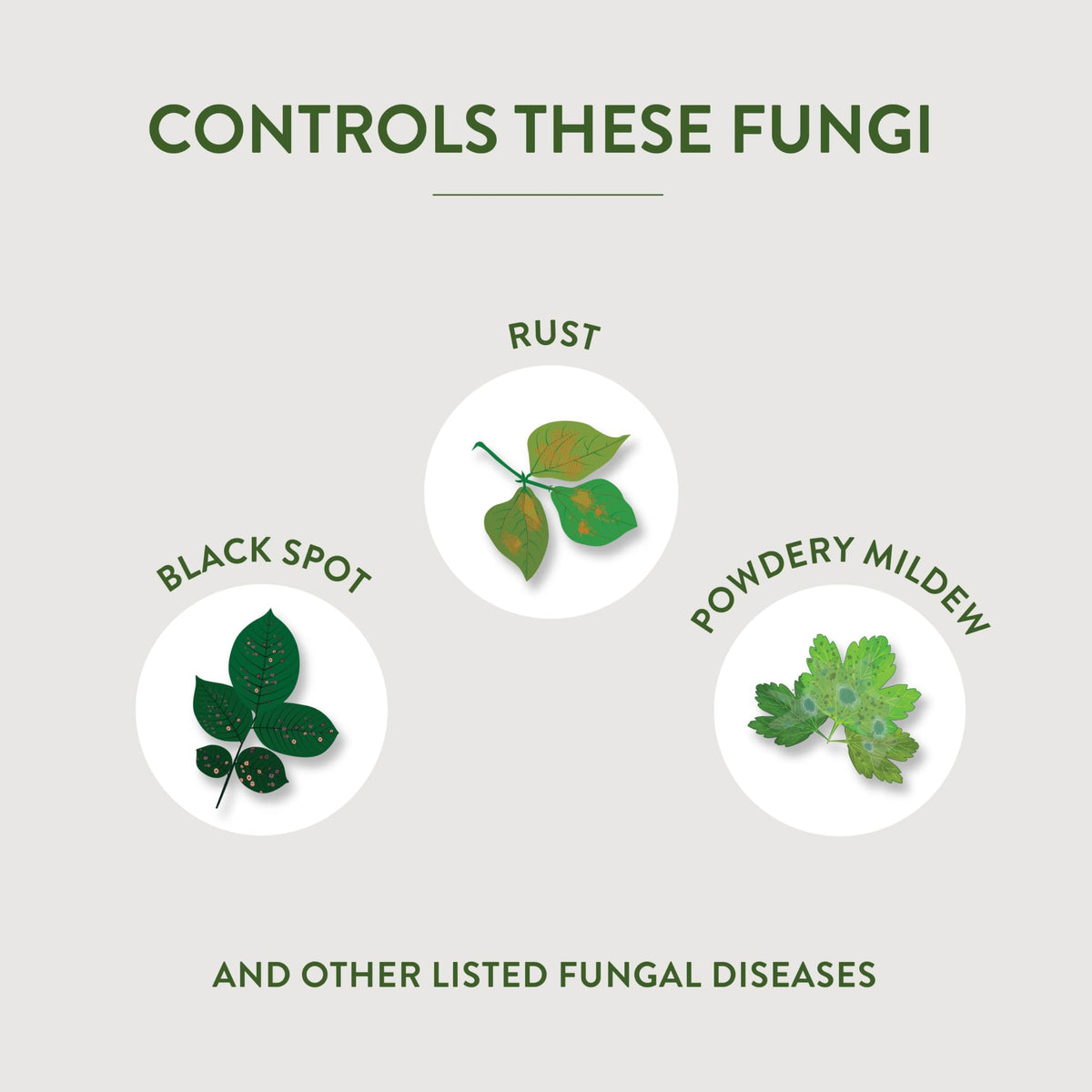 Garden Safe Fungicide3 used on fruits and vegetables in home gardens.