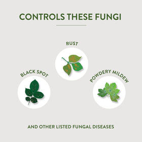 Garden Safe Fungicide3 used on fruits and vegetables in home gardens.