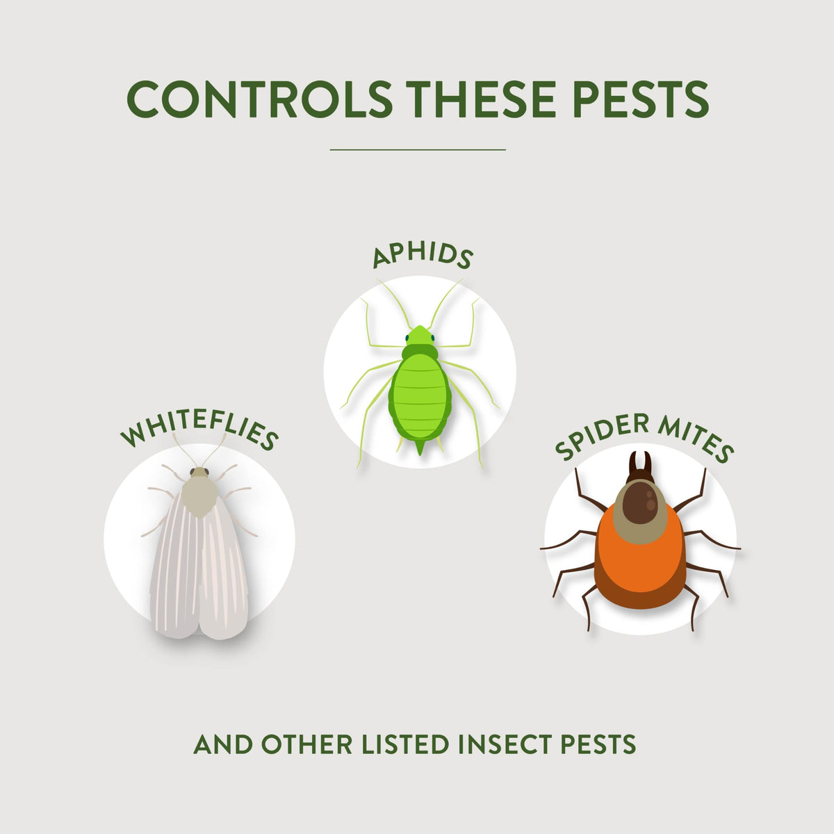 Garden Safe Fungicide3 applied to houseplants for pest protection.