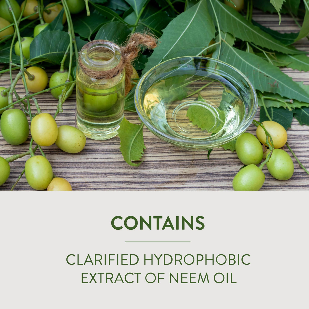 Garden Safe Fungicide3 label close-up showing neem oil formulation.