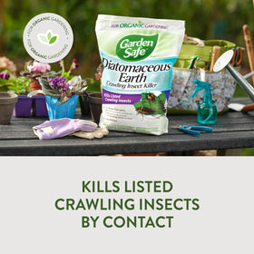 Garden Safe insect killer powder dusting cracks and crevices to target crawling pests.