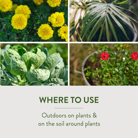 Garden Safe product visible outdoors on patio soil for pest control.