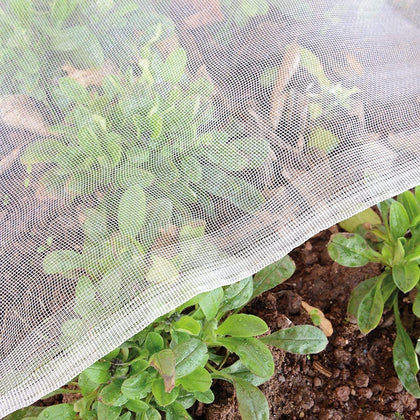 Garden Tailor 8x15 bug netting full-coverage protecting crops while staying breathable.