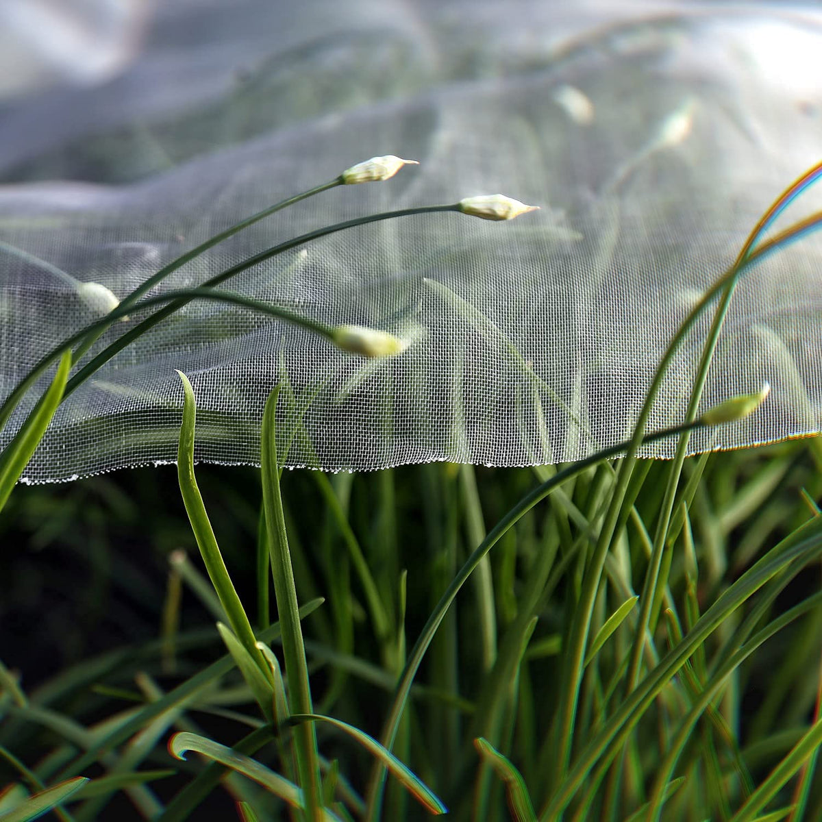 Garden Tailor All-purpose garden netting protects vegetables and fruit across beds and greenhouses.