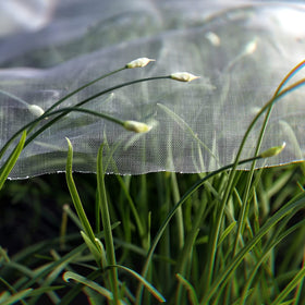 Garden Tailor All-purpose garden netting protects vegetables and fruit across beds and greenhouses.