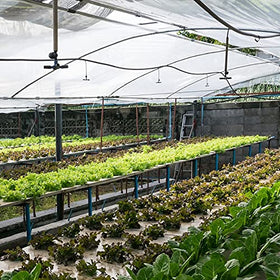 Garden Tailor Durable selvedge net resists unraveling for long-term garden use.