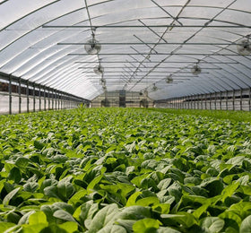 Garden Tailor easy-cut foldable net trims to fit beds
