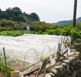 Garden Tailor greenhouse row cover netting shields crops while letting light through.