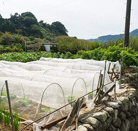 Garden Tailor netting draped over indoor window for versatile protection.