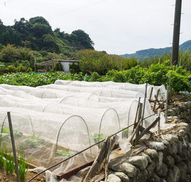 Garden Tailor pest barrier netting guards garden plants all season