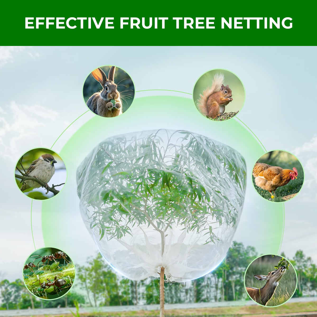 Garden Tailor two-pack netting shields berries and tomatoes from pests.