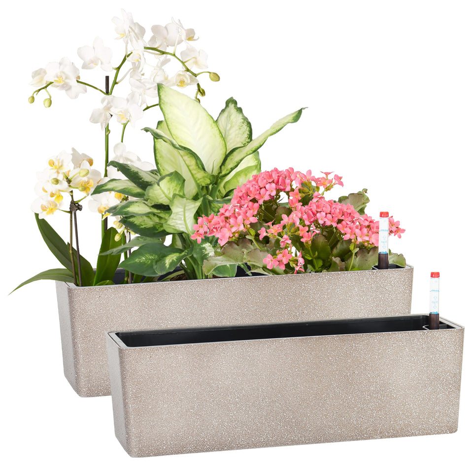 GardenBasix self-watering window box front view with reservoir for easy plant care