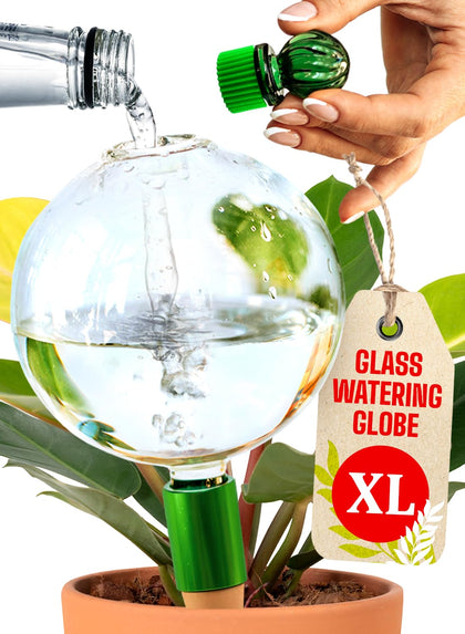GardenBro 16oz watering globes maintain steady moisture for indoor plants.