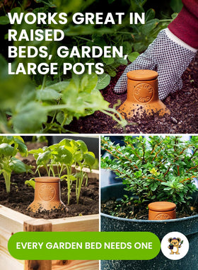 GardenBro terracotta globe in pot demonstrates reliable irrigation for potted plants.