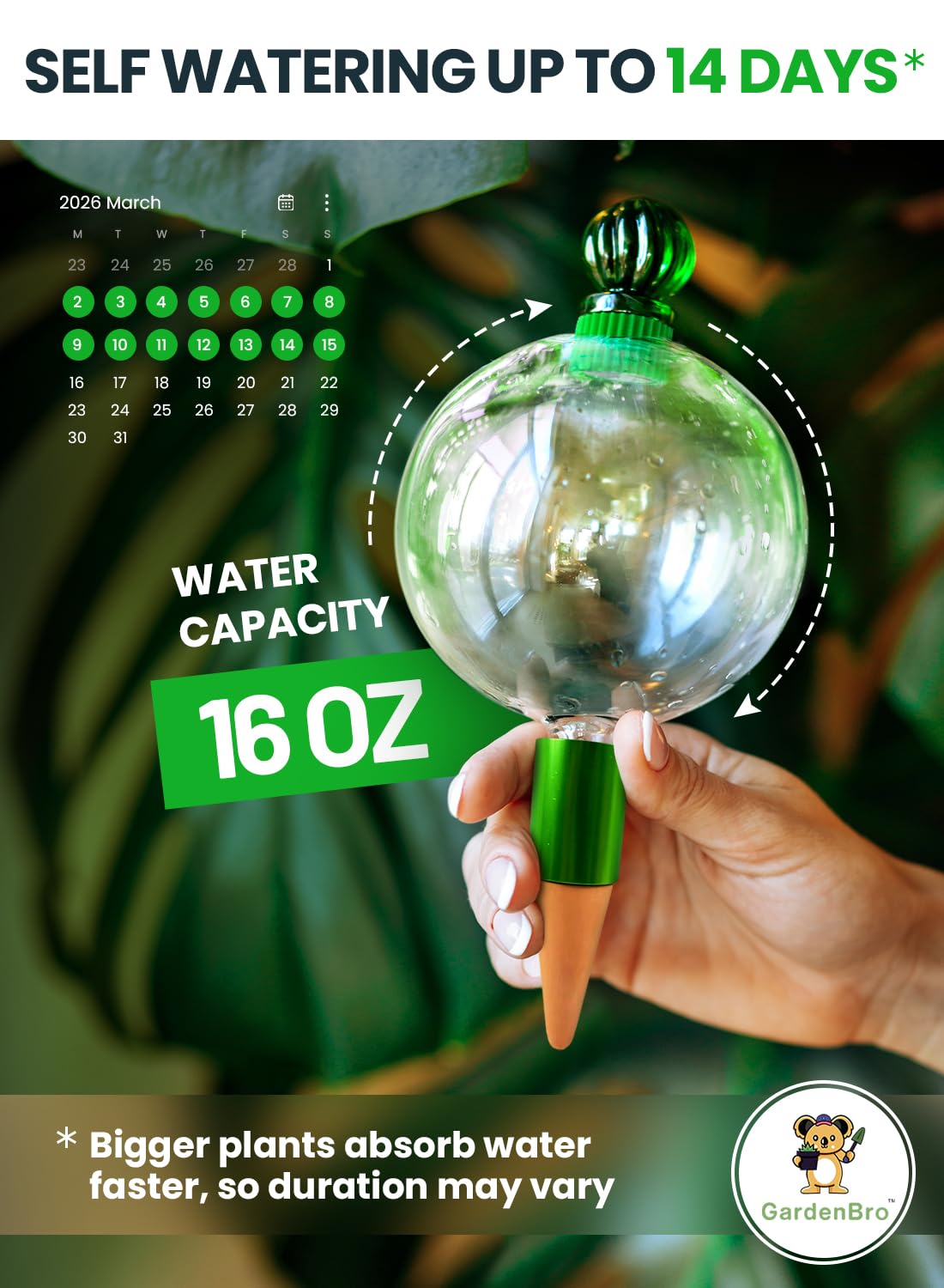 GardenBro terracotta insert self-watering globes prevent overwatering.