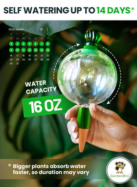 GardenBro terracotta insert self-watering globes prevent overwatering.