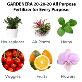 Gardenera 20-20-20 turf application supports lush, green lawns with steady feeding.