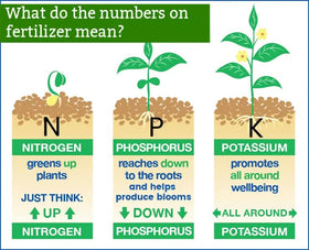 Gardenera 20-20-20 vegetables and blooms image suggests healthy yields and richer color.