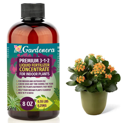 Gardenera 3-1-2 liquid fertilizer bottle ready to nourish indoor plants
