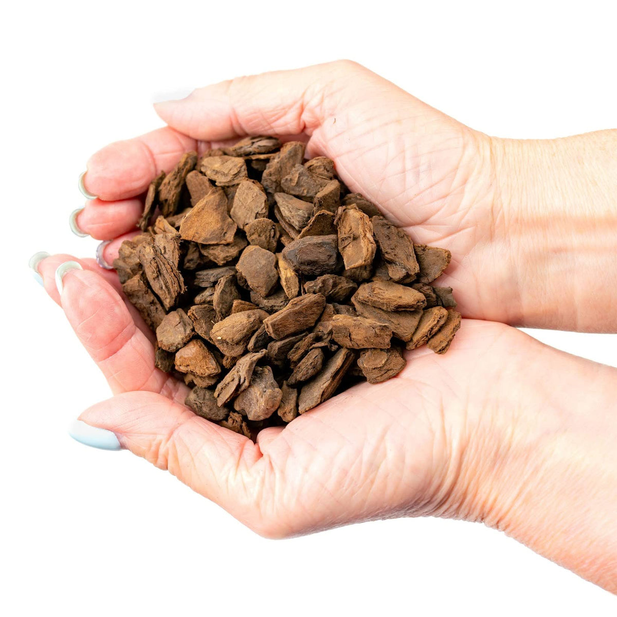 Gardenera bark supports healthy orchid roots by maintaining air pockets