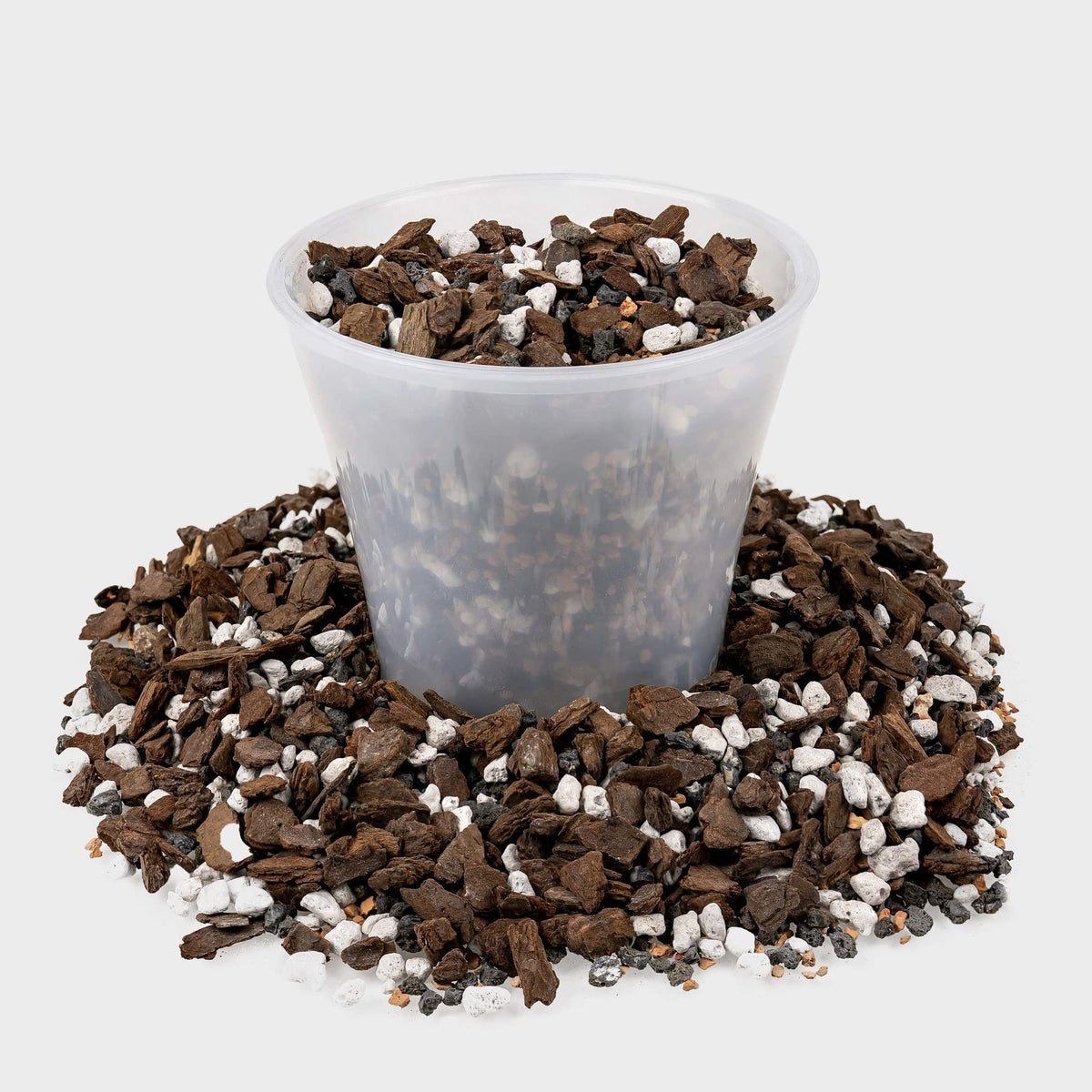 Gardenera bonsai soil with calcined clay balances moisture and improves aeration.