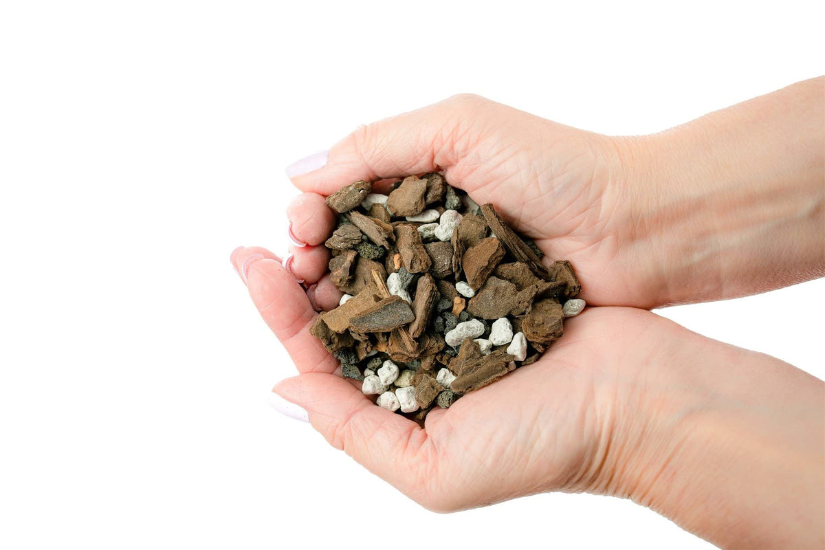 Gardenera bonsai soil in a pot setup ready for use with container plants.