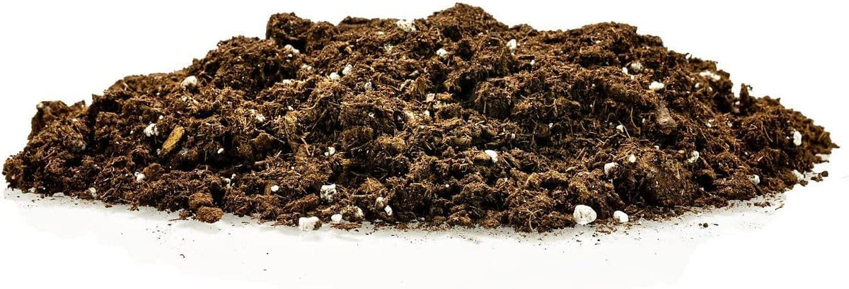 Gardenera Citrus Tree Potting Soil Mix closeup showing root development support