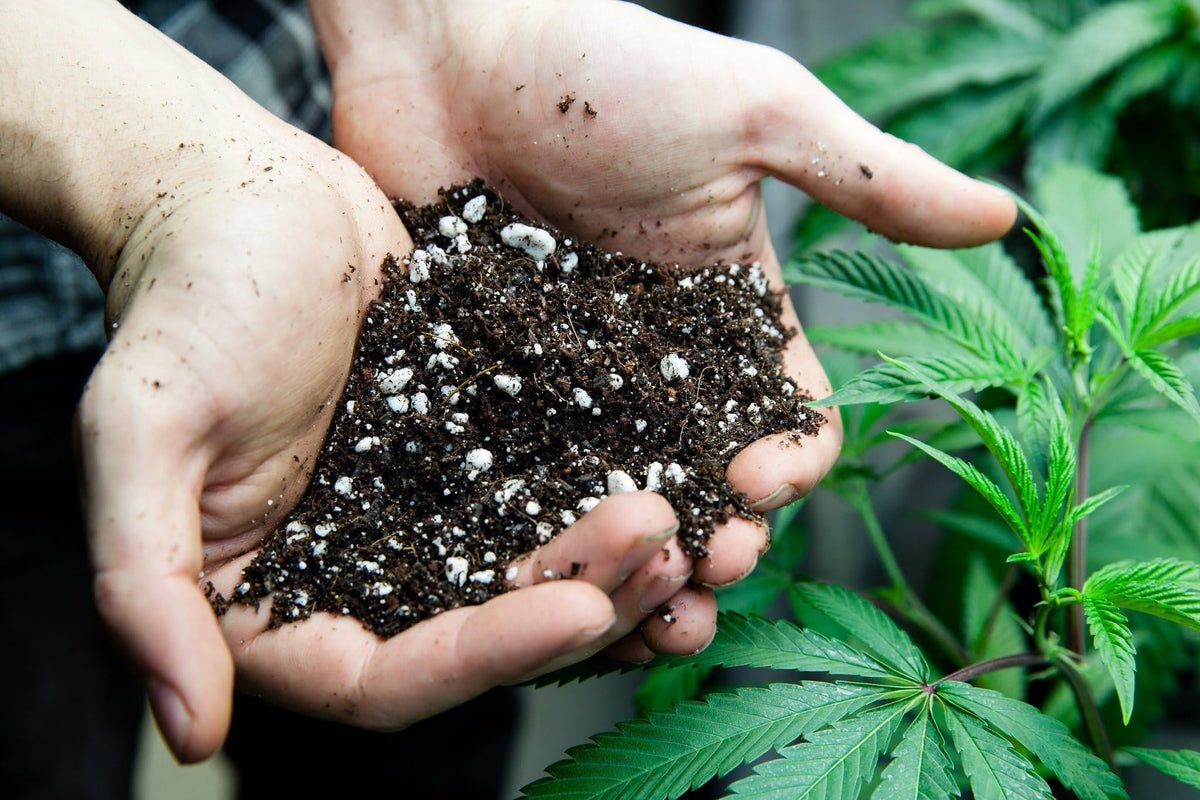 Gardenera Just-Add-Water Potting Soil Mix close-up; features premium ingredients supporting robust root development.