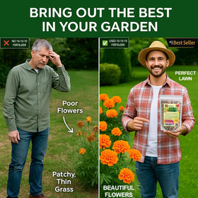 Lush green lawn nourished with Gardenera 10-10-10.