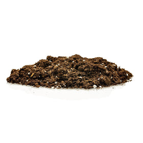 Gardenera Money Tree soil provides superior drainage to protect roots.