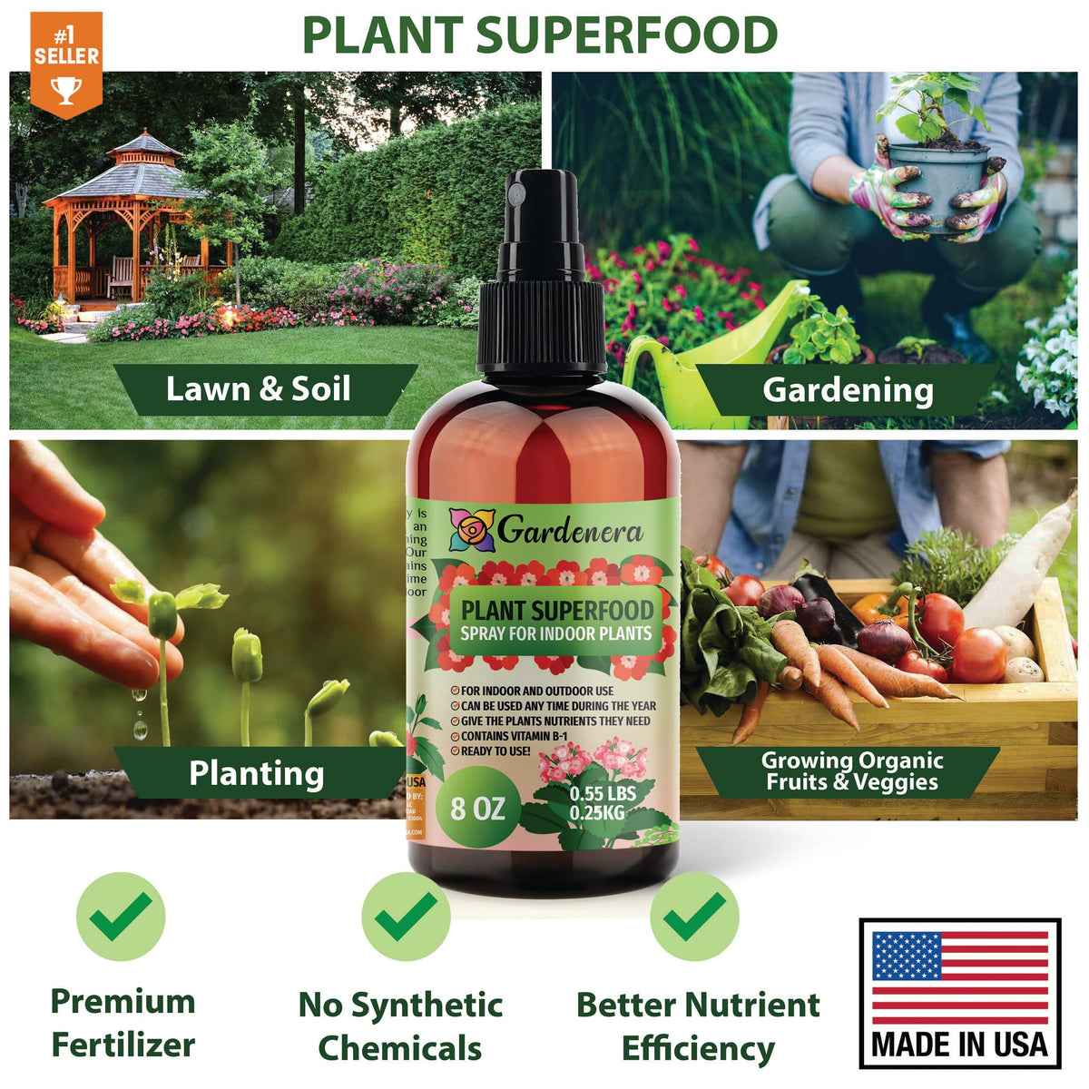 Money tree thriving with Gardenera Plant Superfood Spray care routine.