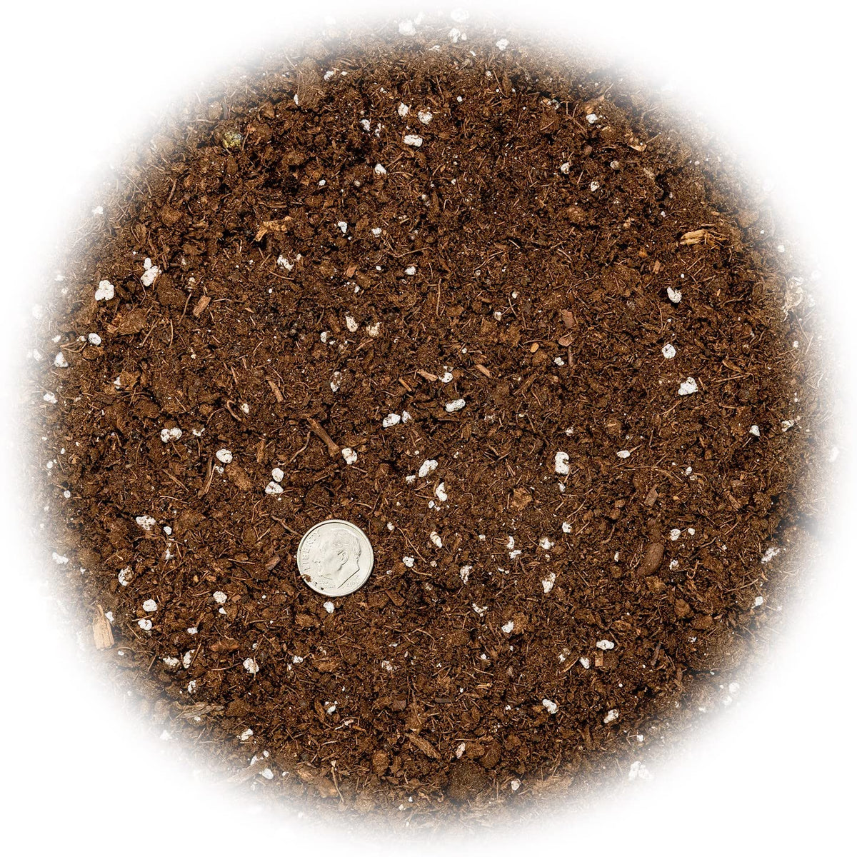 Gardenera Money Tree root growth with premium mix promotes strong thriving indoor plants.