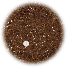 Gardenera Money Tree root growth with premium mix promotes strong thriving indoor plants.