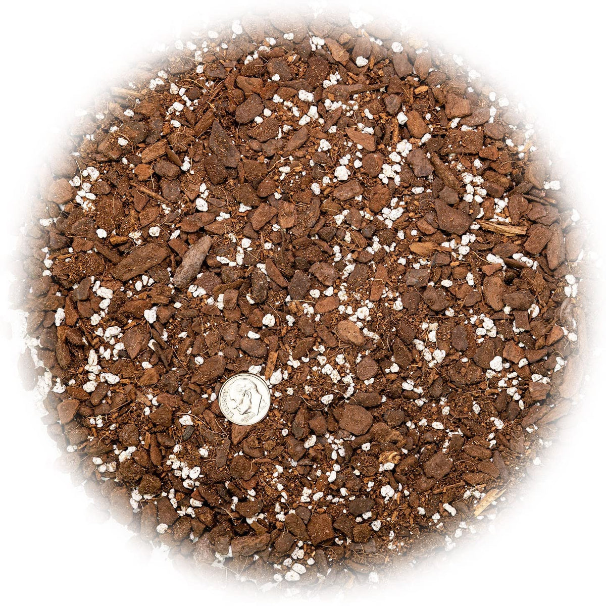 Close-up of Gardenera Monstera soil ingredients highlighting aeration-friendly mix