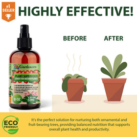 Gardenera Plant Superfood Spray bottle being applied to money tree stems.