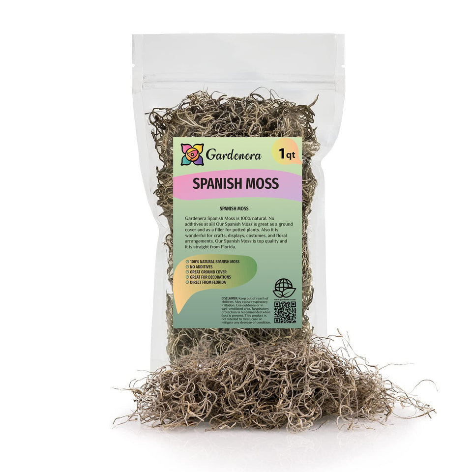 Gardenera Spanish Moss 1qt bag close-up of natural strands for decor