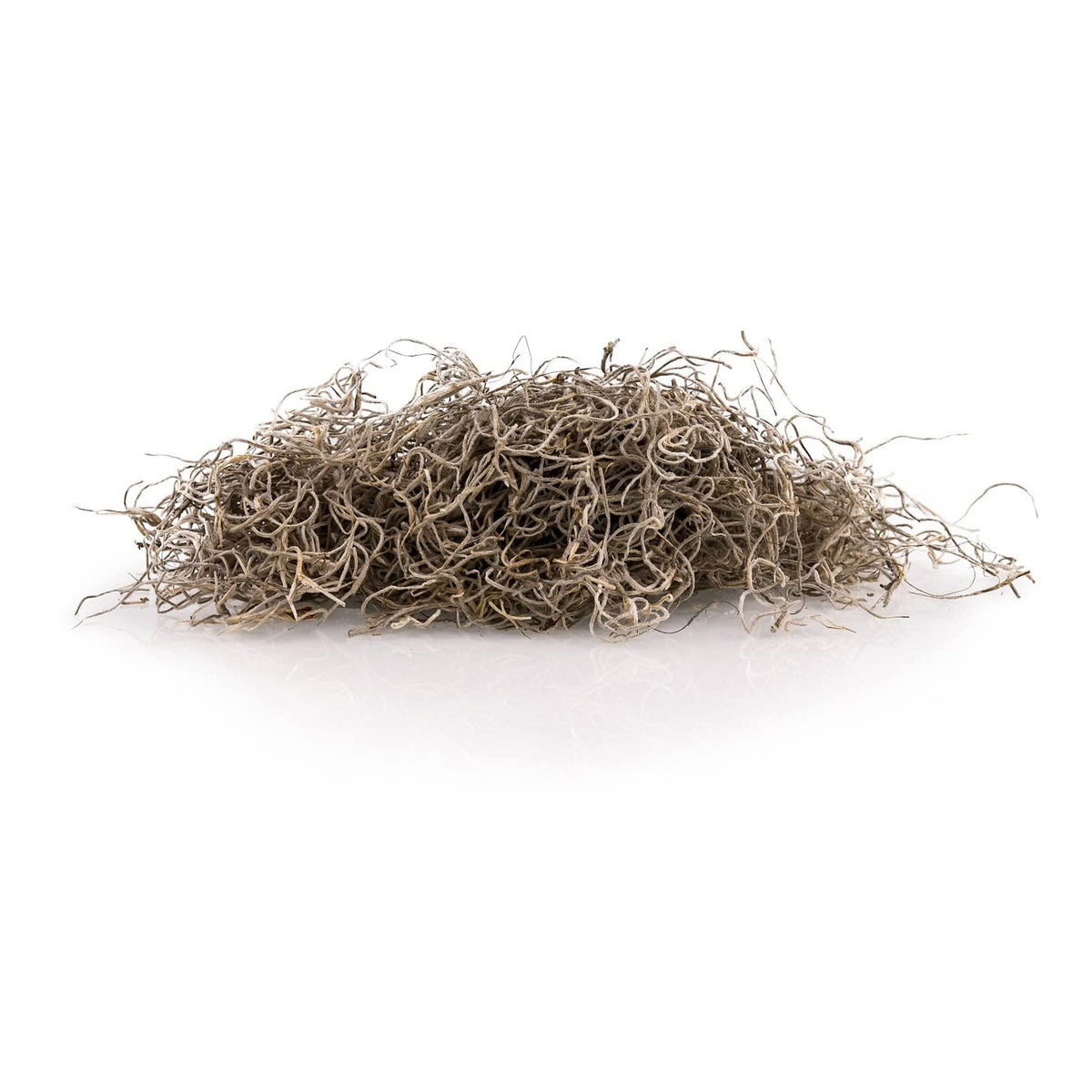 Gardenera moss hanging basket with lush natural texture