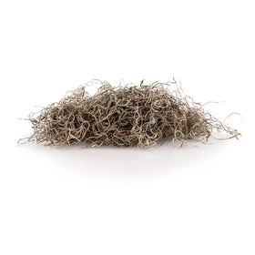 Gardenera moss hanging basket with lush natural texture