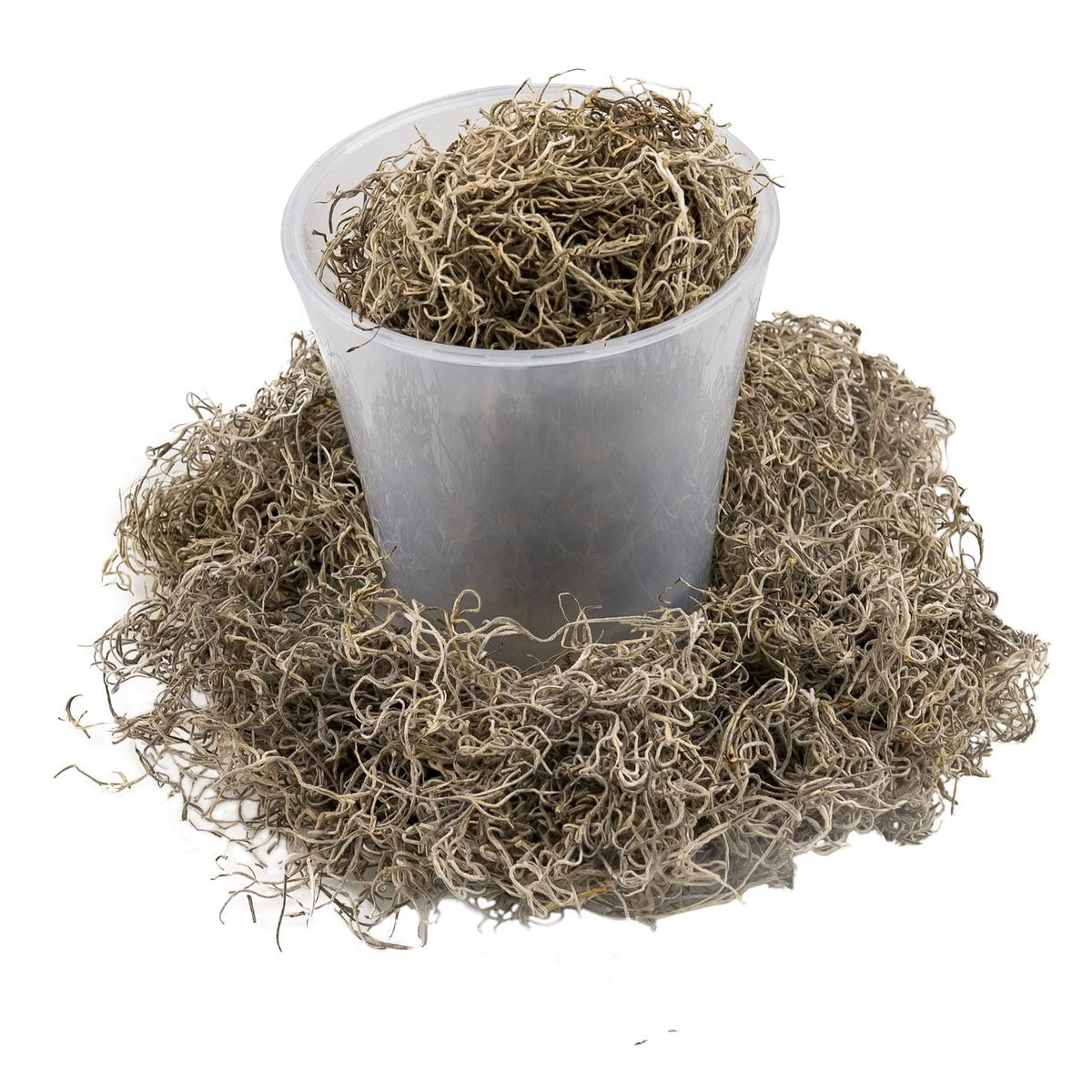 Gardenera moss for wreaths and crafts