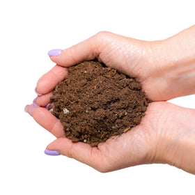 Gardenera sterile, non-toxic Monstera soil formula for safe planting