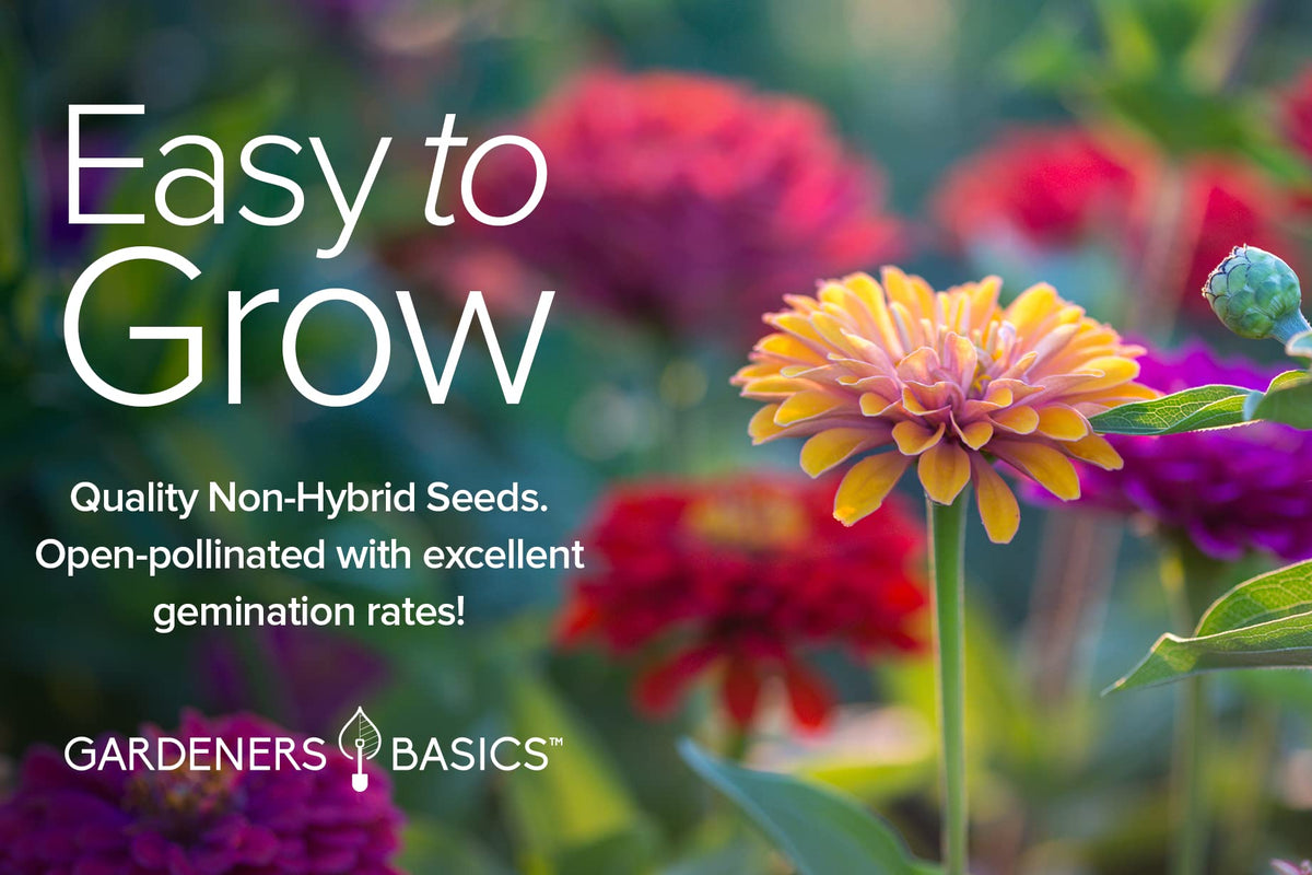 Gardeners Basics 5-variety pack zinnia seeds for planting.